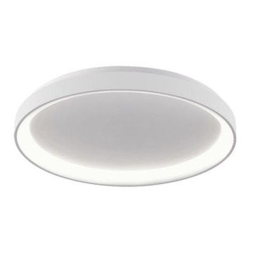 LED2 - Iluminação de teto LED BELLA LED/48W/230V 3000K/4000K branco