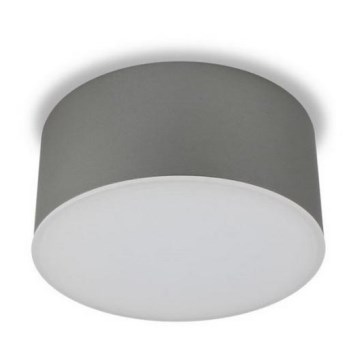 LED2 - Iluminação de teto LED BUTTON LED/17W/230V prateada
