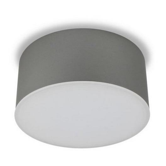 LED2 - Iluminação de teto LED BUTTON LED/17W/230V prateada