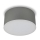 LED2 - Iluminação de teto LED BUTTON LED/17W/230V prateada