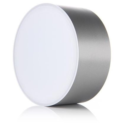 LED2 - Iluminação de teto LED BUTTON LED/17W/230V prateada