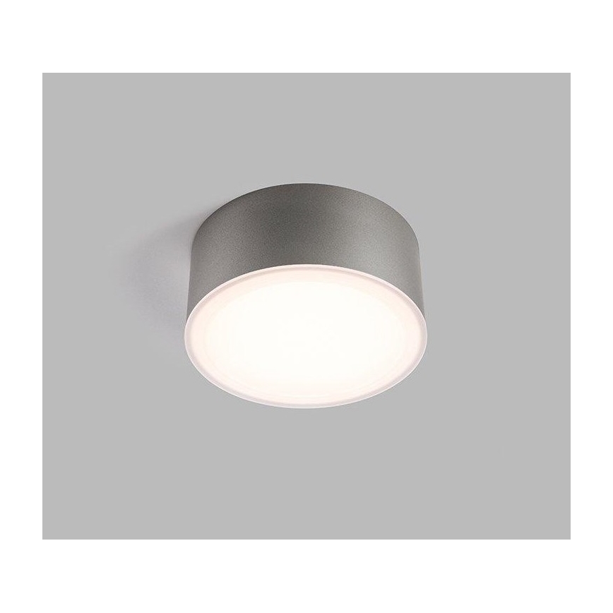 LED2 - Iluminação de teto LED BUTTON LED/17W/230V prateada