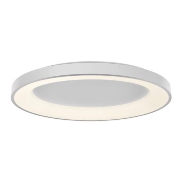 LED2 - Iluminação de teto LED com regulação BELLA LED/80W/230V 3000K/4000K branco