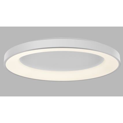 LED2 - Iluminação de teto LED com regulação BELLA LED/80W/230V 3000K/4000K branco