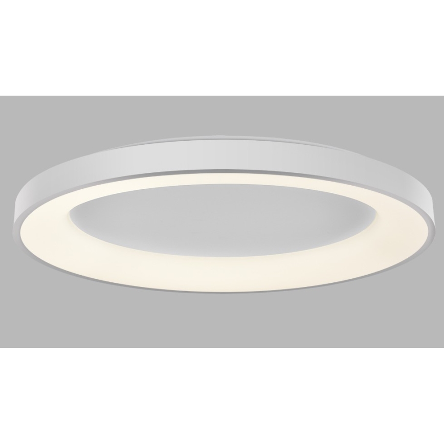 LED2 - Iluminação de teto LED com regulação BELLA LED/80W/230V 3000K/4000K branco