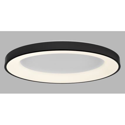 LED2 - Iluminação de teto LED com regulação BELLA LED/80W/230V 3000K/4000K preto
