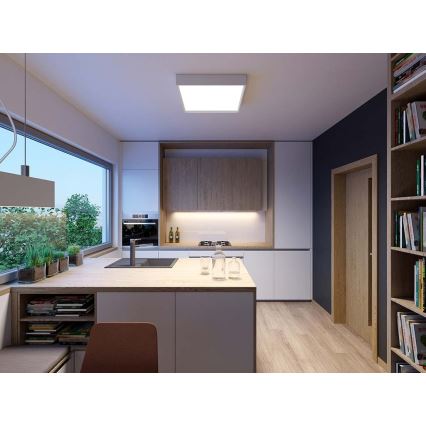 LED2 - Iluminação de teto LED MILO LED/30W/230V branca 3000/4000K