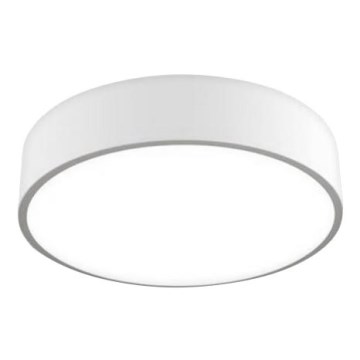 LED2 - Iluminação de teto LED MONO LED/60W/230V 3000/4000K branca