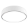 LED2 - Iluminação de teto LED MONO LED/60W/230V 3000/4000K branca