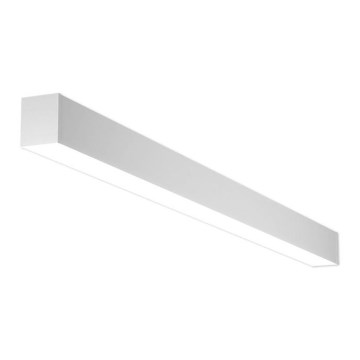 LED2 - Iluminação de teto LED NOLI LED/40W/230V 3000K/3500K/4000K branco