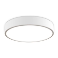 LED2 - Luminária de teto dimmerizável MONO LED/60W/230V 3000K/4000K branco