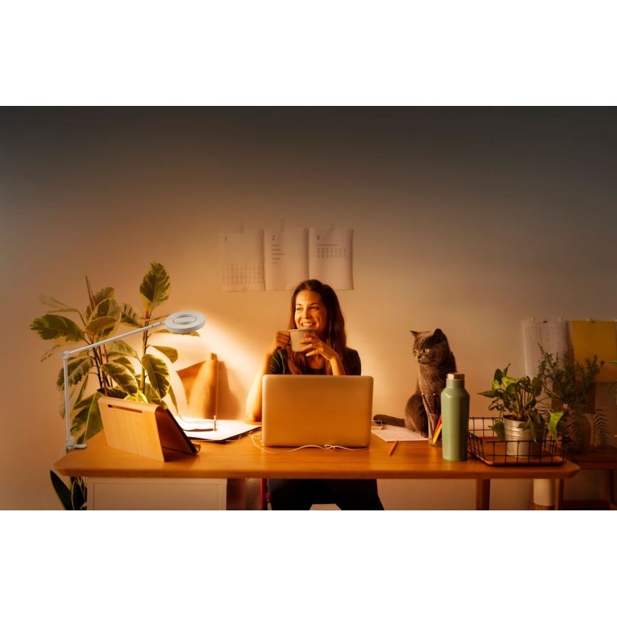 Ledvance - Candeeiro com clipe LED com regulação SUN@HOME LED/15W/230V 2200-5000K CRI 95 Wi-Fi