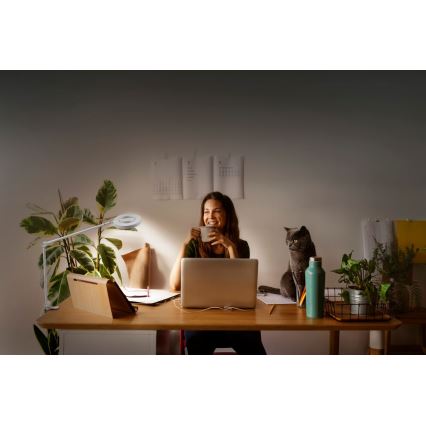 Ledvance - Candeeiro com clipe LED com regulação SUN@HOME LED/15W/230V 2200-5000K CRI 95 Wi-Fi