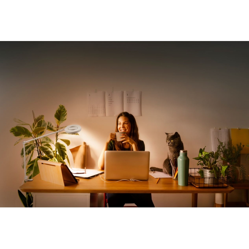 Ledvance - Candeeiro com clipe LED com regulação SUN@HOME LED/15W/230V 2200-5000K CRI 95 Wi-Fi