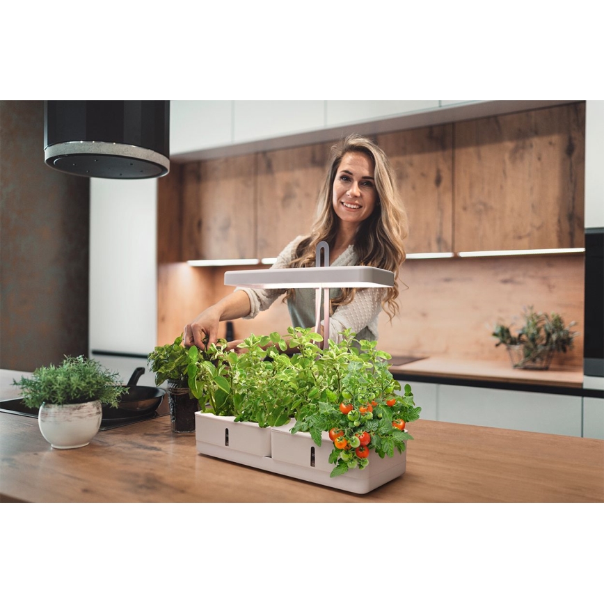 Ledvance - Candeeiro interior de planta LED GARDEN KIT LED/24W/230V