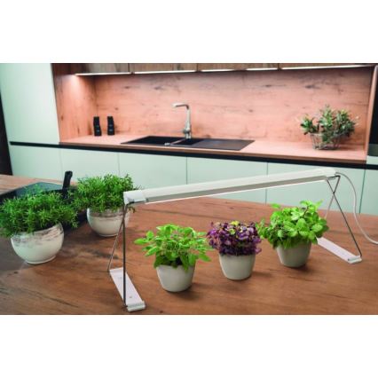 Ledvance - Candeeiro interior de planta LED GARDEN LIGHT LED/14W/230V