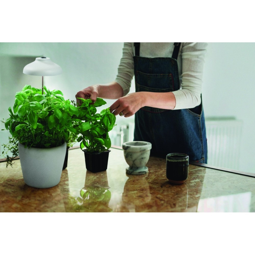 Ledvance - Candeeiro interior de planta LED GARDEN LIGHT LED/5W/5V