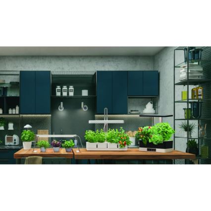 Ledvance - Candeeiro interior de planta LED GARDEN LIGHT LED/5W/5V