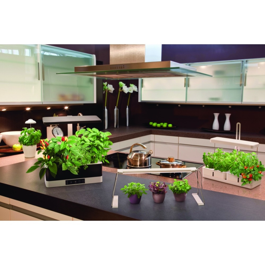 Ledvance - Candeeiro interior de planta LED GARDEN LIGHT LED/5W/5V
