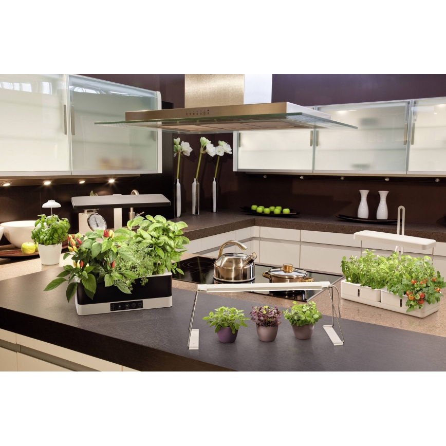 Ledvance - Candeeiro interior LED com regulação GARDEN KIT LED/24W/230V