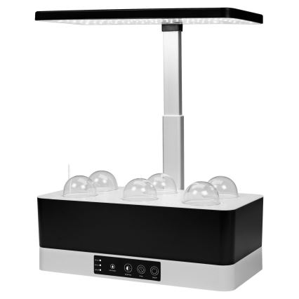 Ledvance - Candeeiro interior LED com regulação GARDEN KIT LED/24W/230V