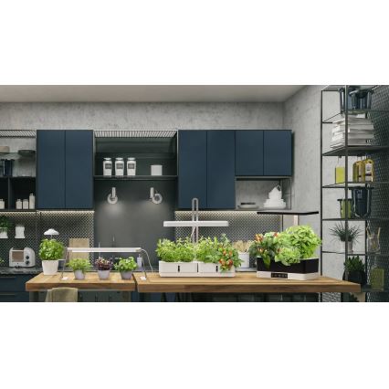 Ledvance - Candeeiro interior LED com regulação GARDEN KIT LED/24W/230V