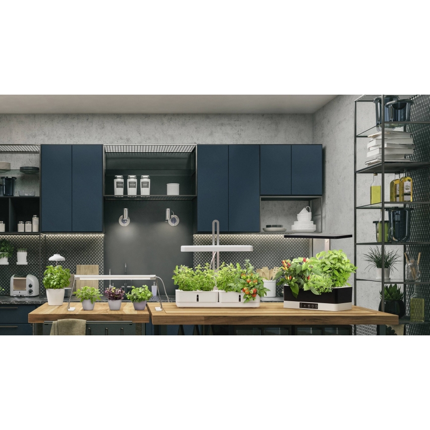 Ledvance - Candeeiro interior LED com regulação GARDEN KIT LED/24W/230V