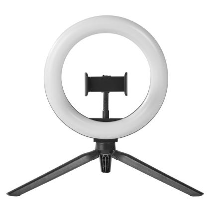 Ledvance - Candeeiro de mesa LED com regulação e suporte para vlogs LED/5,5W/USB 3000/4000/6500K