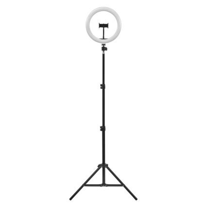 Ledvance - Candeeiro de chão LED com regulação e suporte para vlogs LED/6W/USB 3000/4000/6500K