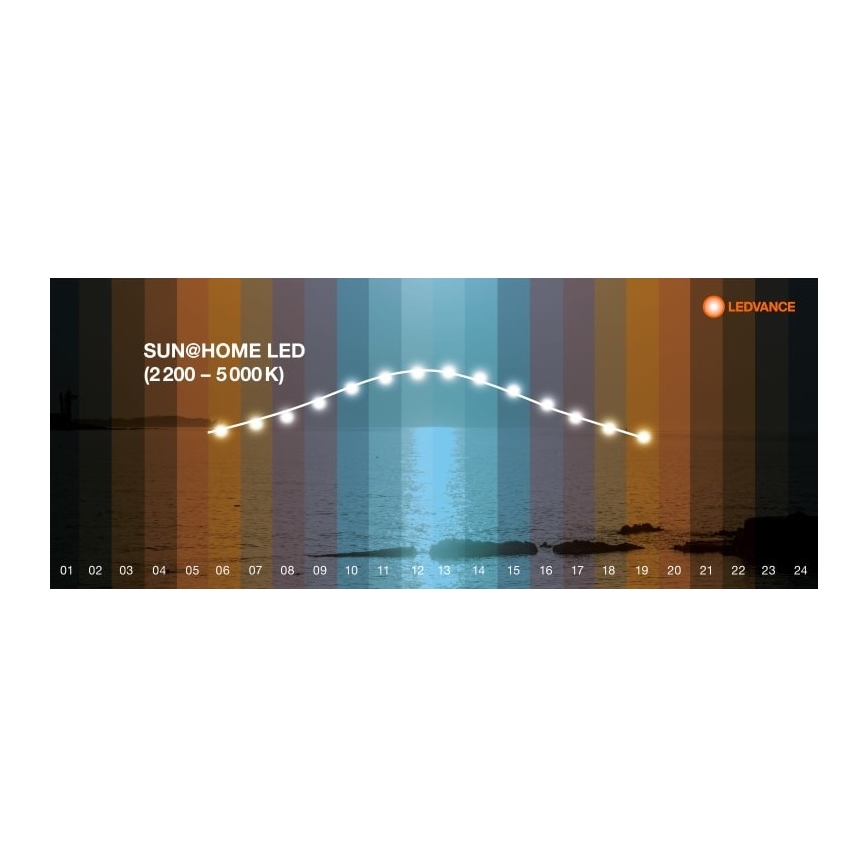 Ledvance - Candeeiro de chão LED com regulação SUN@HOME LED/36W/230V 2200-5000K CRI 95 Wi-Fi