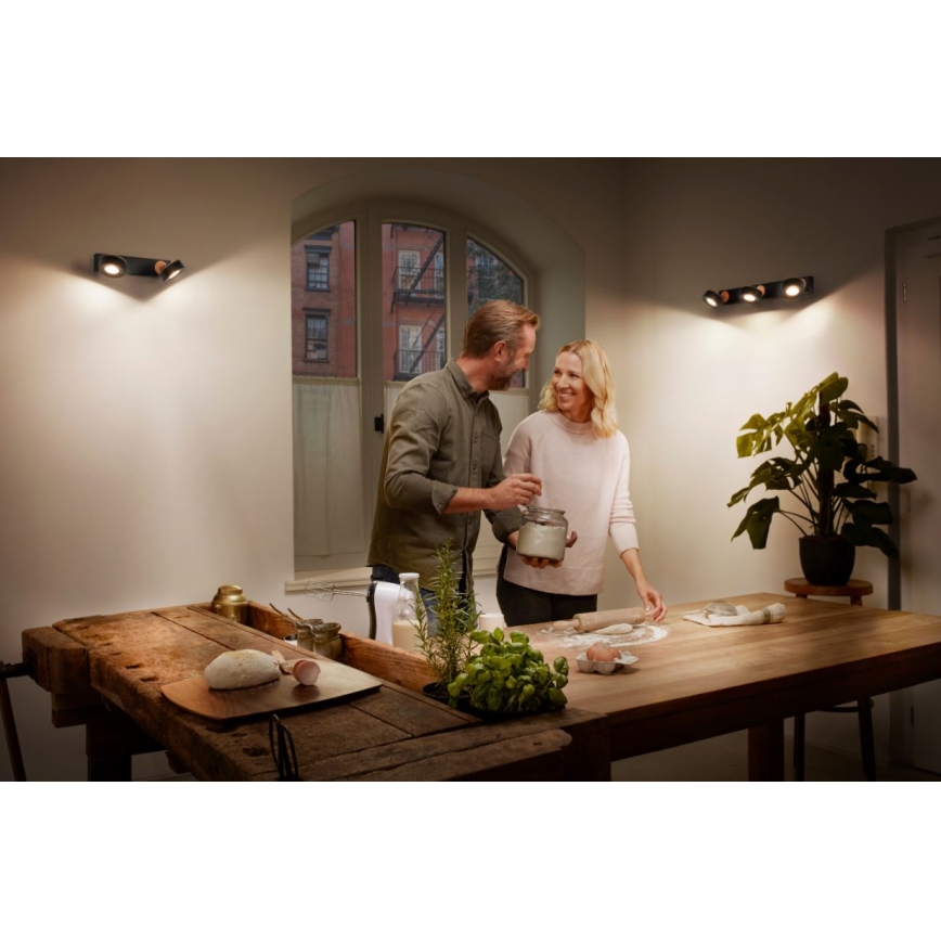 Ledvance - Foco LED DECOR PLUTO 2xLED/4,8W/230V