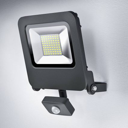 Ledvance - Holofote com sensor LED ENDURA LED/50W/230V IP44