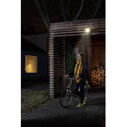Ledvance - Holofote com sensor LED ENDURA LED/50W/230V IP44