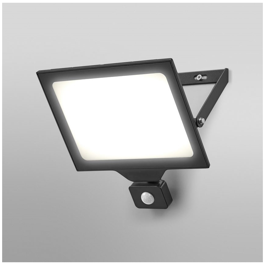 Ledvance - LED Holofote exterior de parede com sensor FLOODLIGHT ESSENTIAL LED/100W/230V IP65