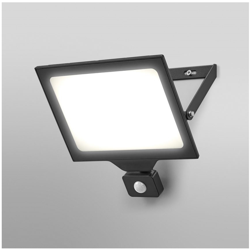 Ledvance - LED Holofote exterior de parede com sensor FLOODLIGHT ESSENTIAL LED/200W/230V IP65