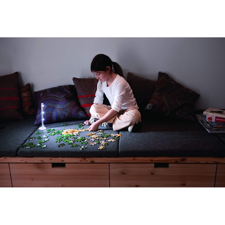 Ledvance - Iluminação de orientação LED LEDSTIXX LED/0,6W/4,5V