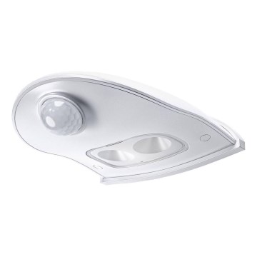 Ledvance - Iluminação de parede de exterior LED com sensor DOORLED LED/1W/4,5V IP54