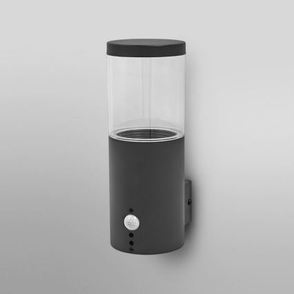 Ledvance - Iluminação de parede exterior com sensor EBRO 1xE27/20W/230V IP44