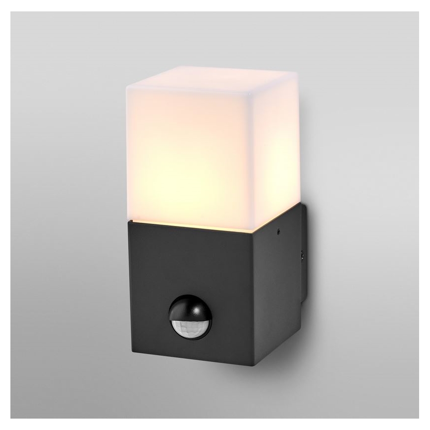 Ledvance - Iluminação de parede exterior com sensor FIGO SQUARE 1xE27/20W/230V