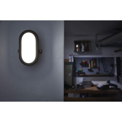 Ledvance - Iluminação de parede exterior LED BULKHEAD LED/6W/230V IP54 preta