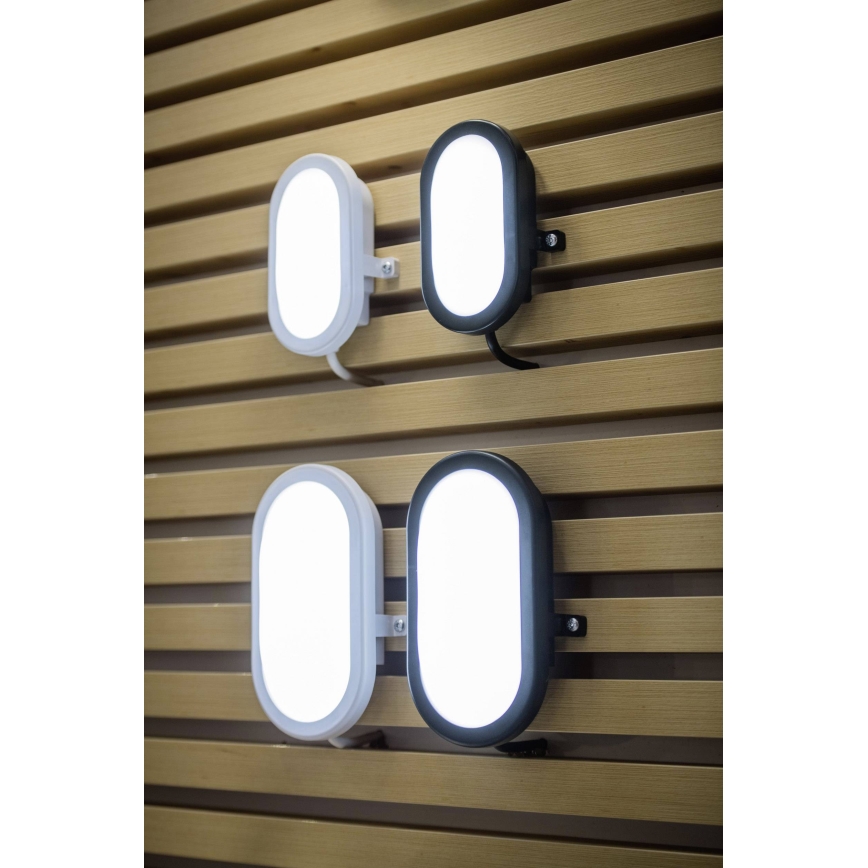 Ledvance - Iluminação de parede exterior LED BULKHEAD LED/6W/230V IP54 preta