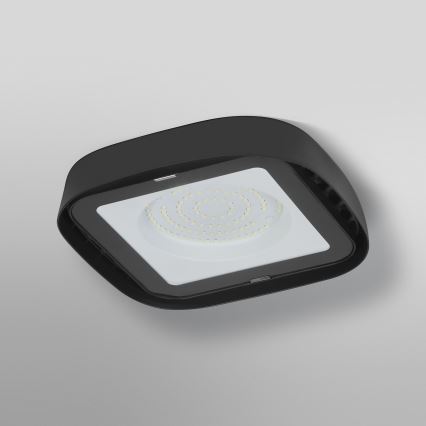 Ledvance - Iluminação de teto industrial LED HIGHBAY LED/80W/230V IP65 6500K