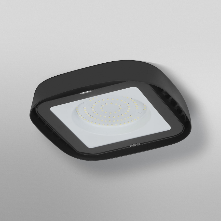 Ledvance - Iluminação de teto industrial LED HIGHBAY LED/80W/230V IP65 6500K