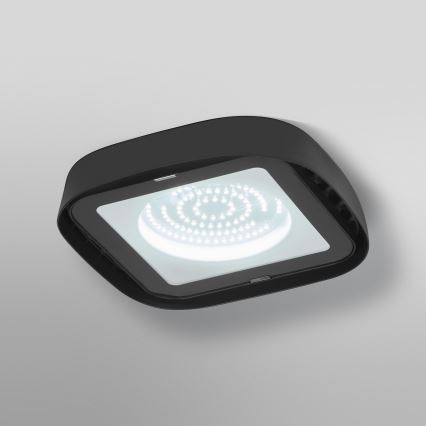 Ledvance - Iluminação de teto industrial LED HIGHBAY LED/80W/230V IP65 6500K