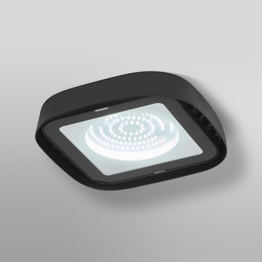 Ledvance - Iluminação de teto industrial LED HIGHBAY LED/80W/230V IP65 6500K