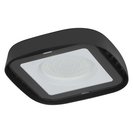 Ledvance - Iluminação de teto industrial LED HIGHBAY LED/80W/230V IP65 6500K