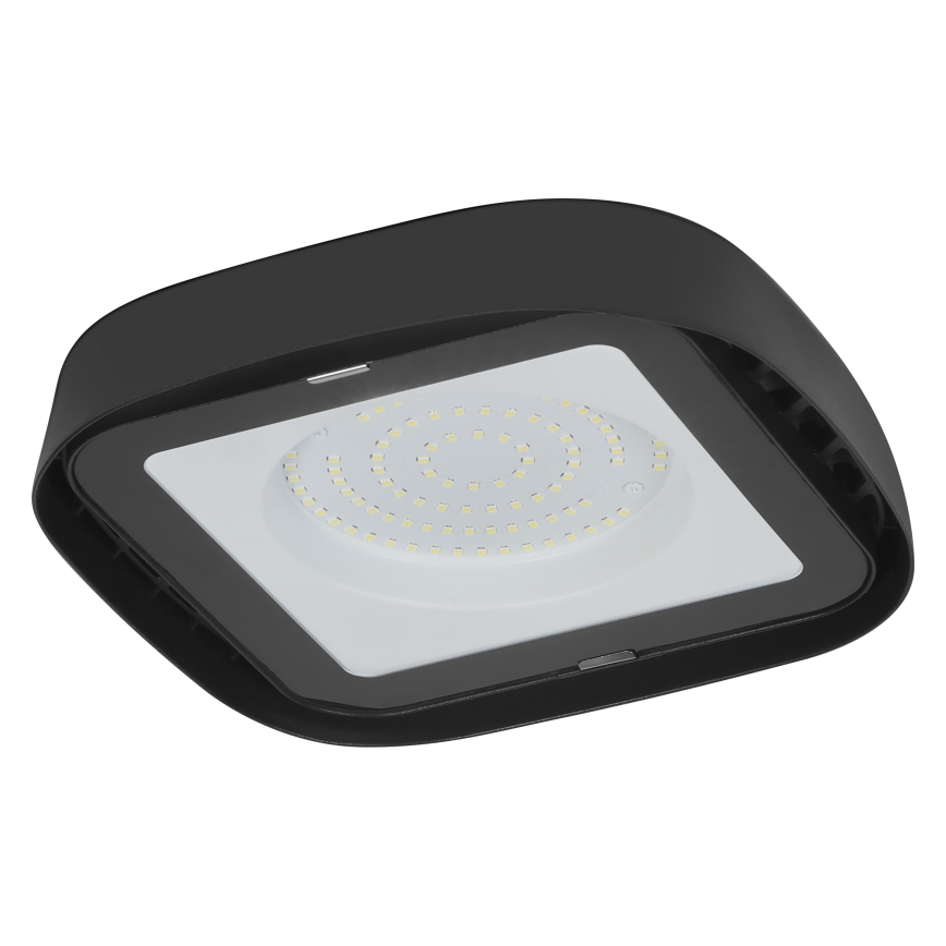 Ledvance - Iluminação de teto industrial LED HIGHBAY LED/80W/230V IP65 6500K