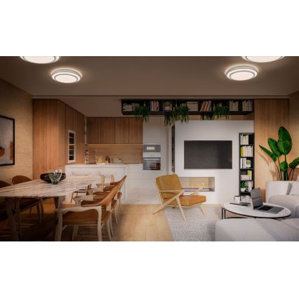 Ledvance - Iluminação de teto LED ORBIS BERLIN LED/16W/230V prateado