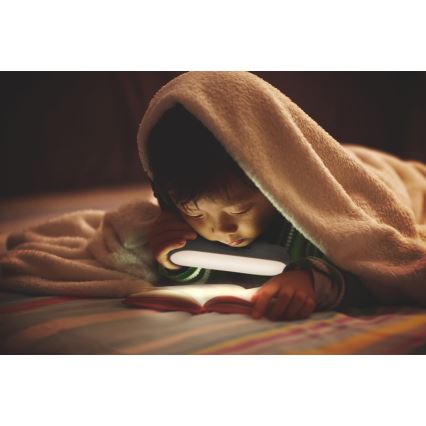 Ledvance - LED Iluminação em móveis com sensor MOBILE LED/1,2W/5V 500 mAh 4000K
