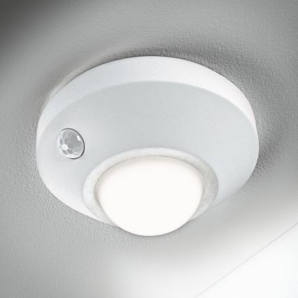 Ledvance - Iluminação noturna LED com sensor NIGHTLUX LED/1,7W/3xAA 4000K